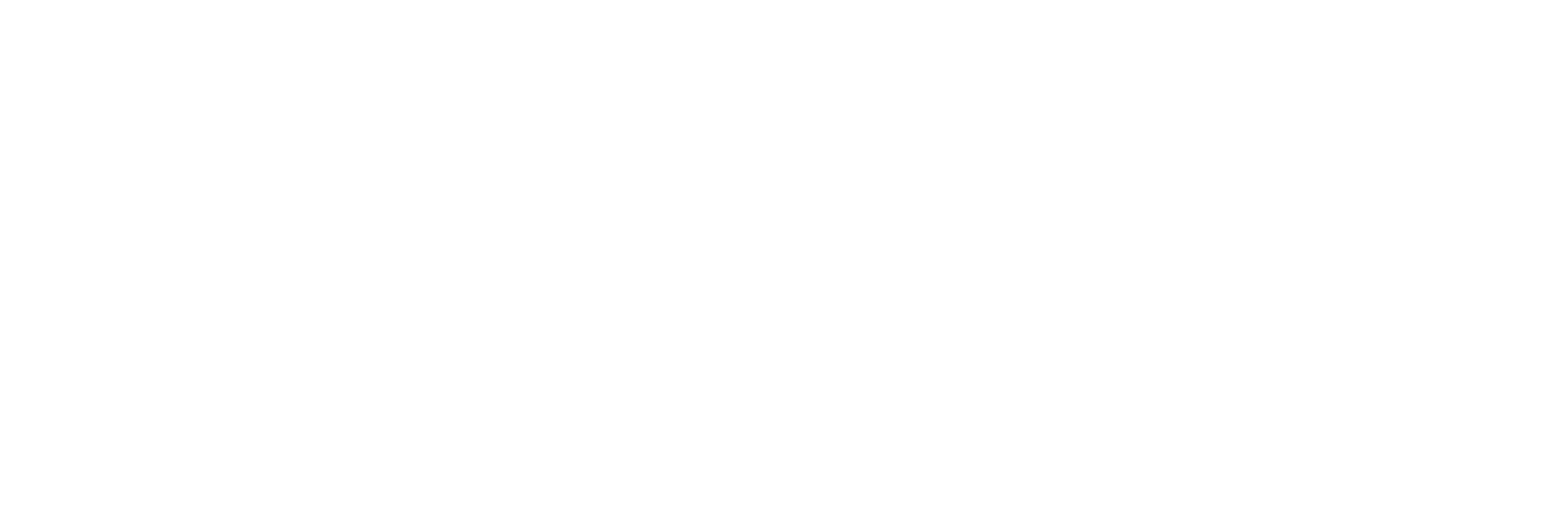 zanet'bike
